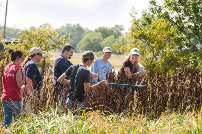 Wildlife science students walking in tall grass