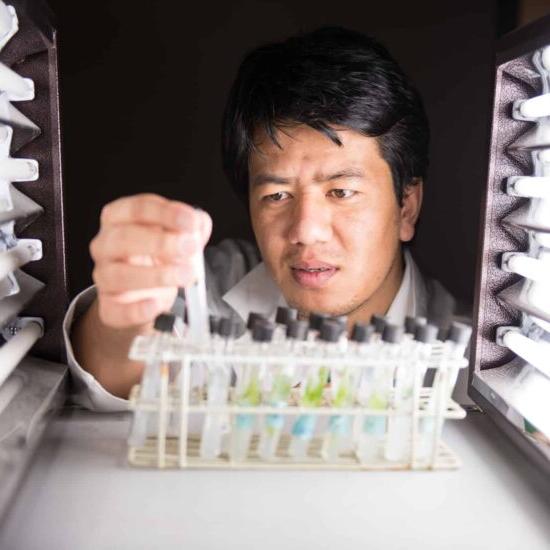 A male professor looking at a vial filled with chemicals.