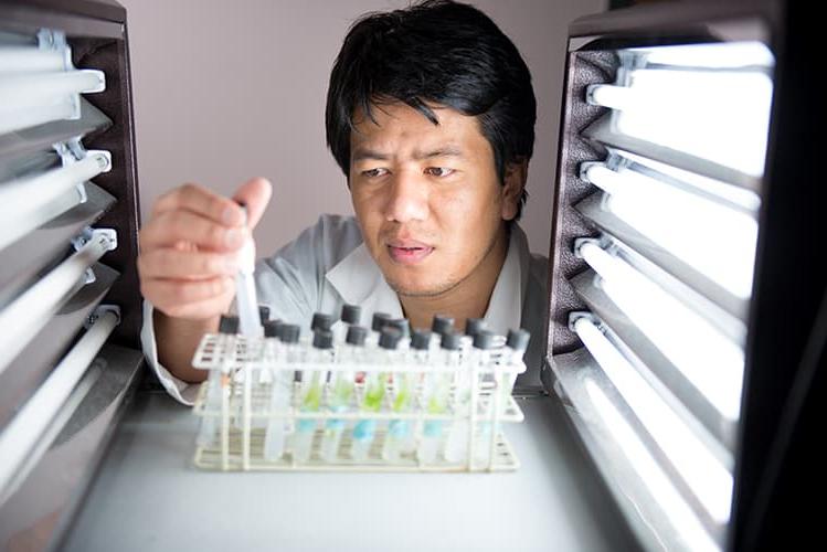 Scientist inspecting test tube samples