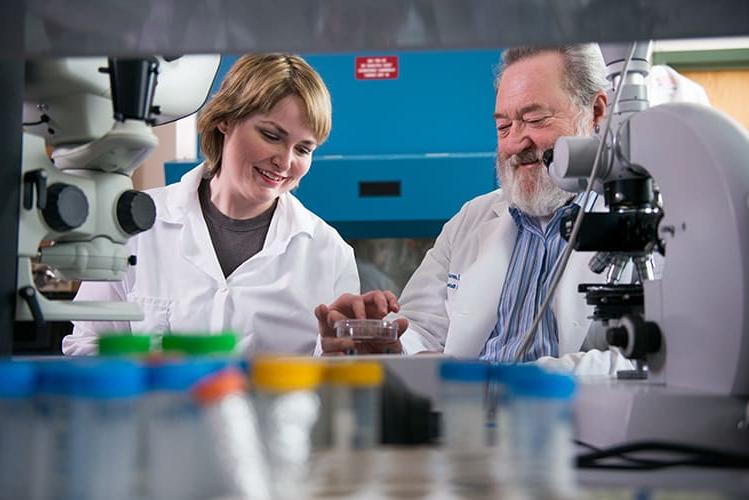 Biologists inspecting Petri dish