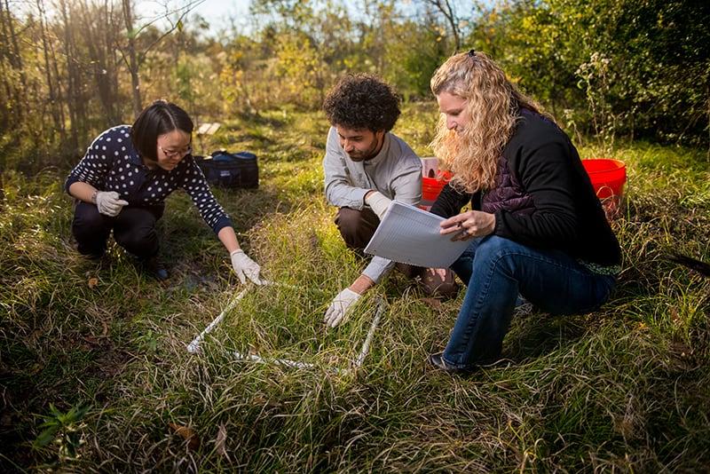 Three students working on filed