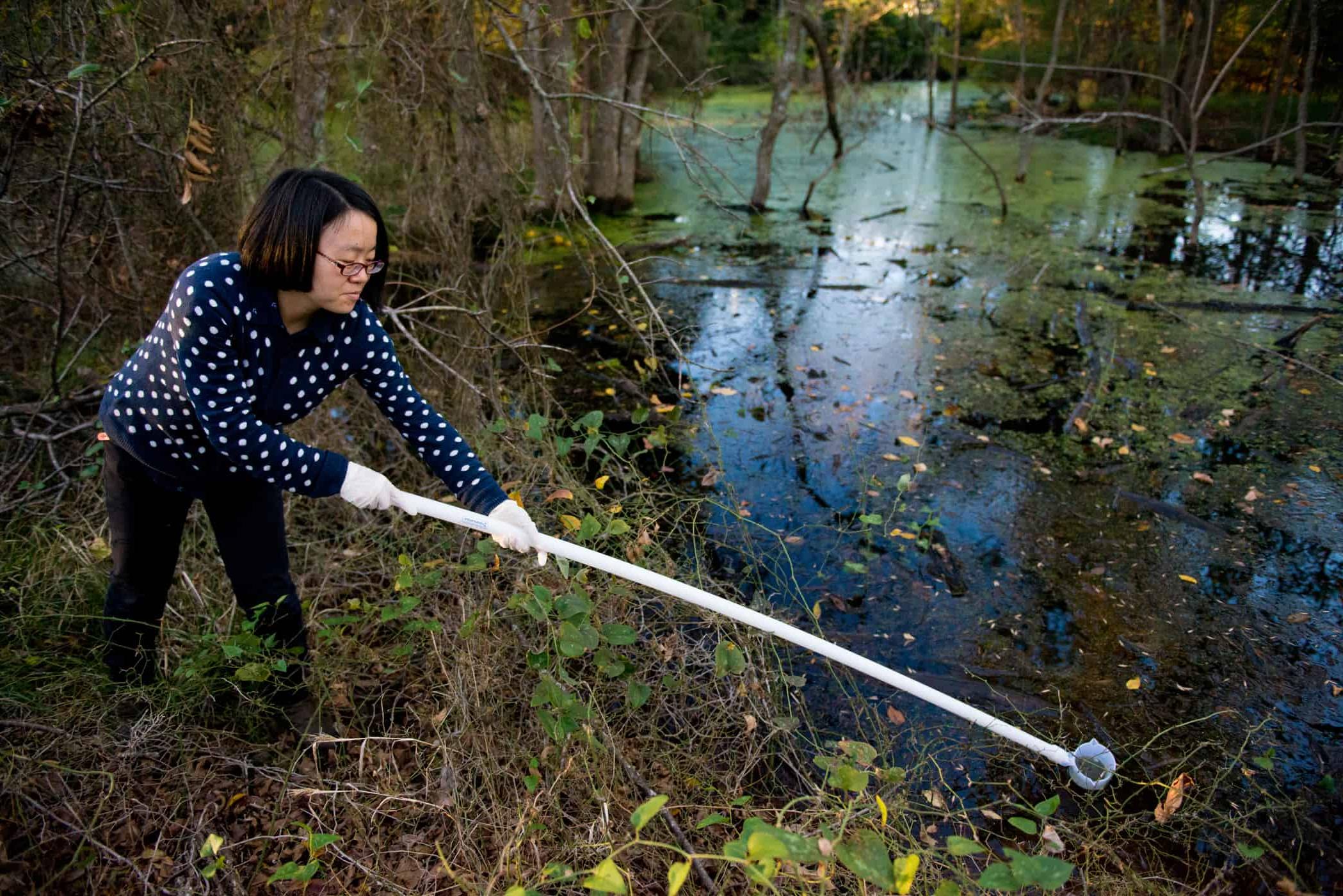 Environmental scientist taking sample of water