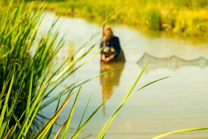 Environmental scientist setting up system in water