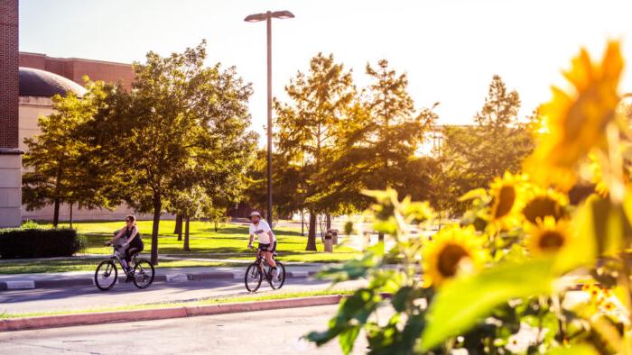 Two cyclists ride along a paved path in a sunny park, surrounded by lush greenery and sunflowers in the foreground. Trees and a brick building are visible in the background, illuminated by golden sunlight.